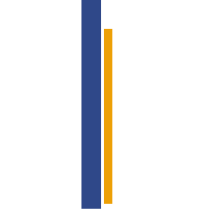 Yellow and Blue Accent Lines