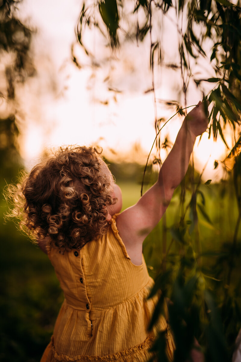 toddler girl under a willow tree at sunset