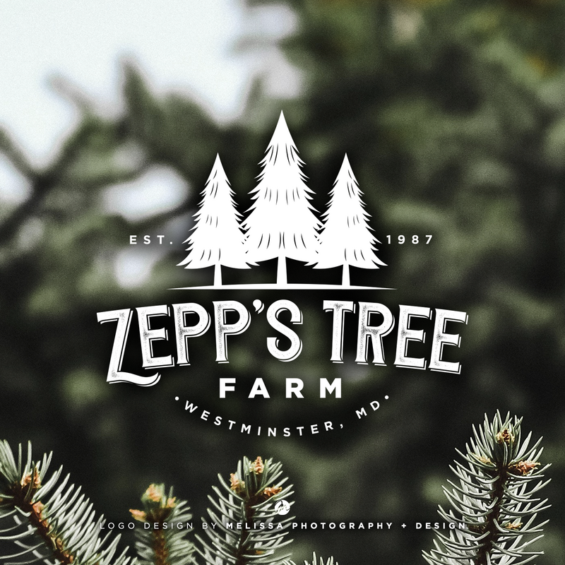 zepp-logo