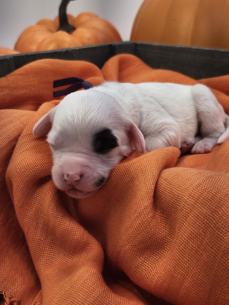 d0dfd634-8060-4a4b-9b8c-17c8ad8eb057