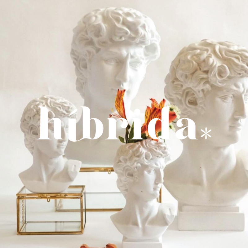 Hibrida-Rebranding2020_Entrega-38