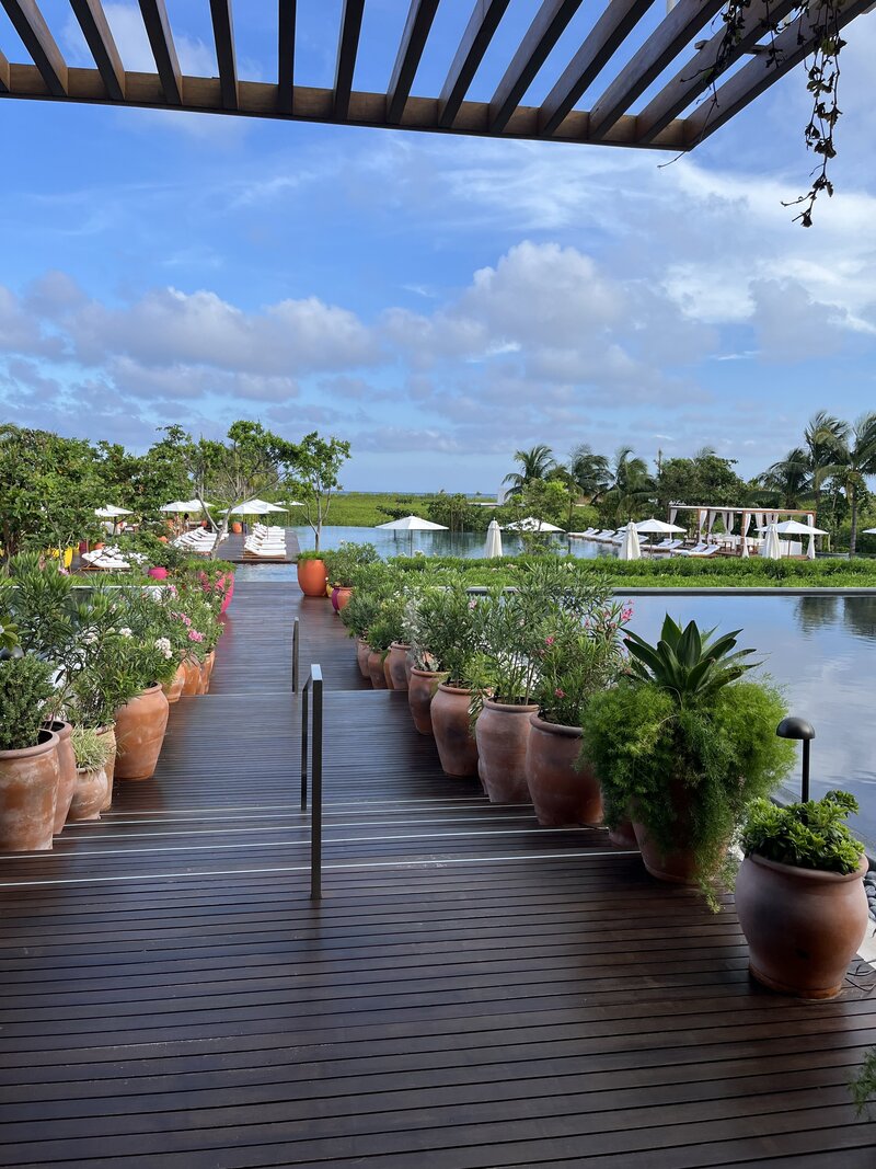 Walkway in resort lined with plants