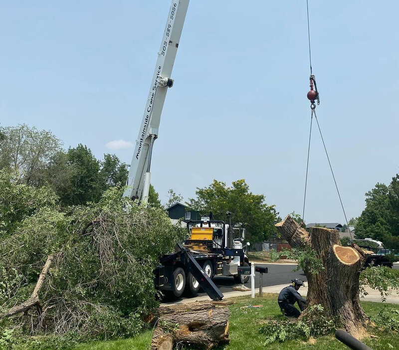 Tree and stump removal for residential properties by crane service