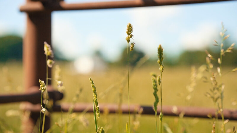 Untitled_3.1.1