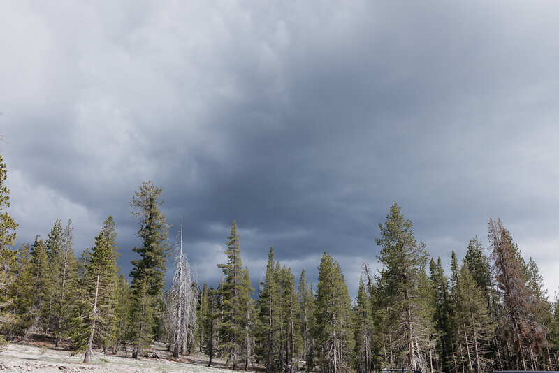 Morgan Lee photography- MB-19