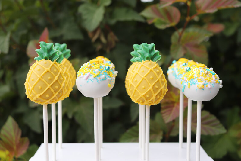 bakery - cakes - cake pops -north dakota -283