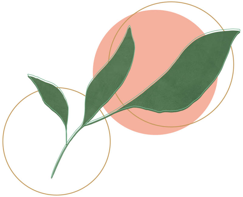 Leaf and ring element for Lori Lubbers Counseling