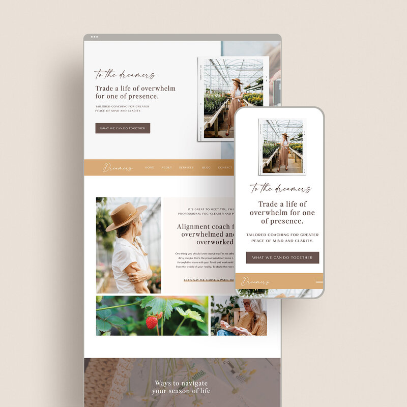 Showit website template