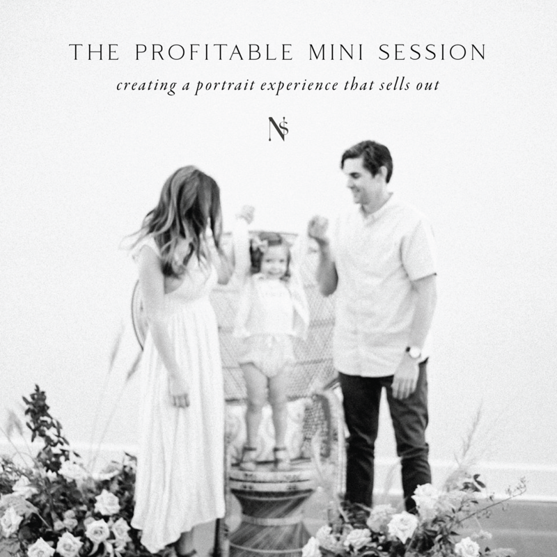 The-Profitable-Mini-Session-Graphics-01