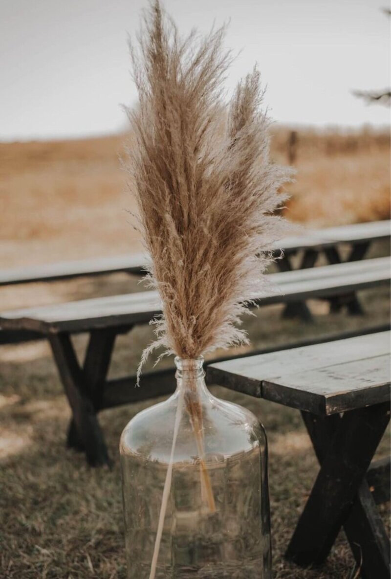 Six gallon carboy 2-Rori Ranch Rentals