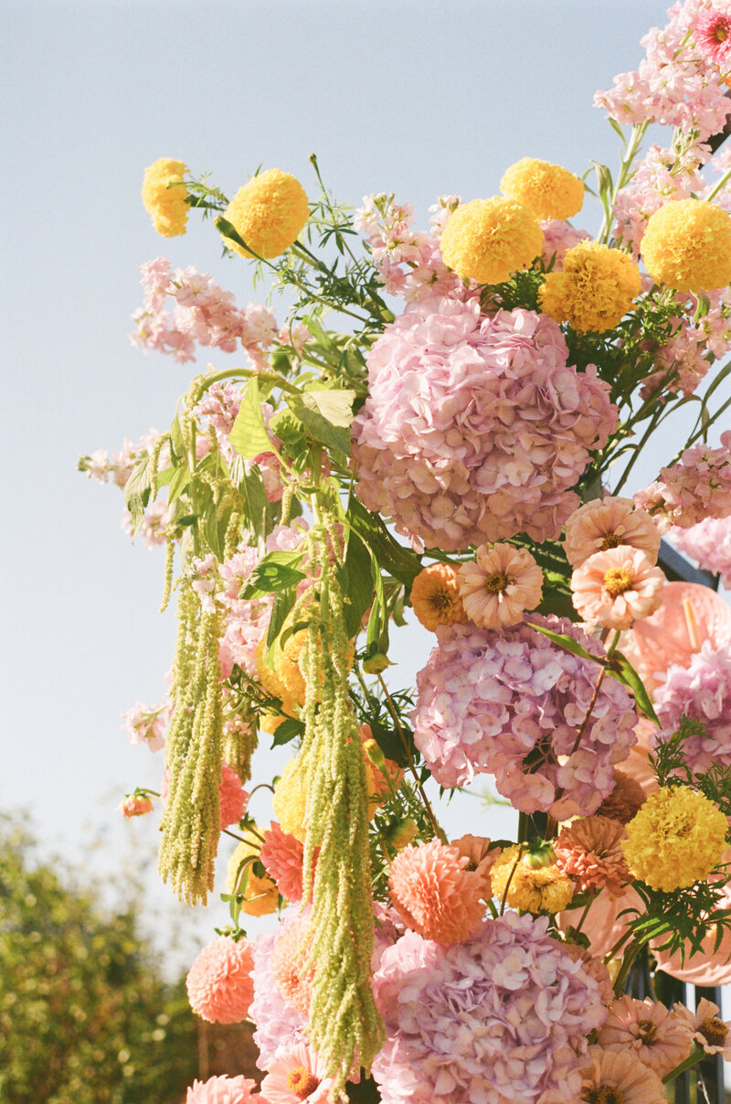 Wild flower arch photographed on film