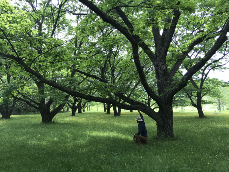 Screenshot 2025-07-17 at 1.12.51 PM