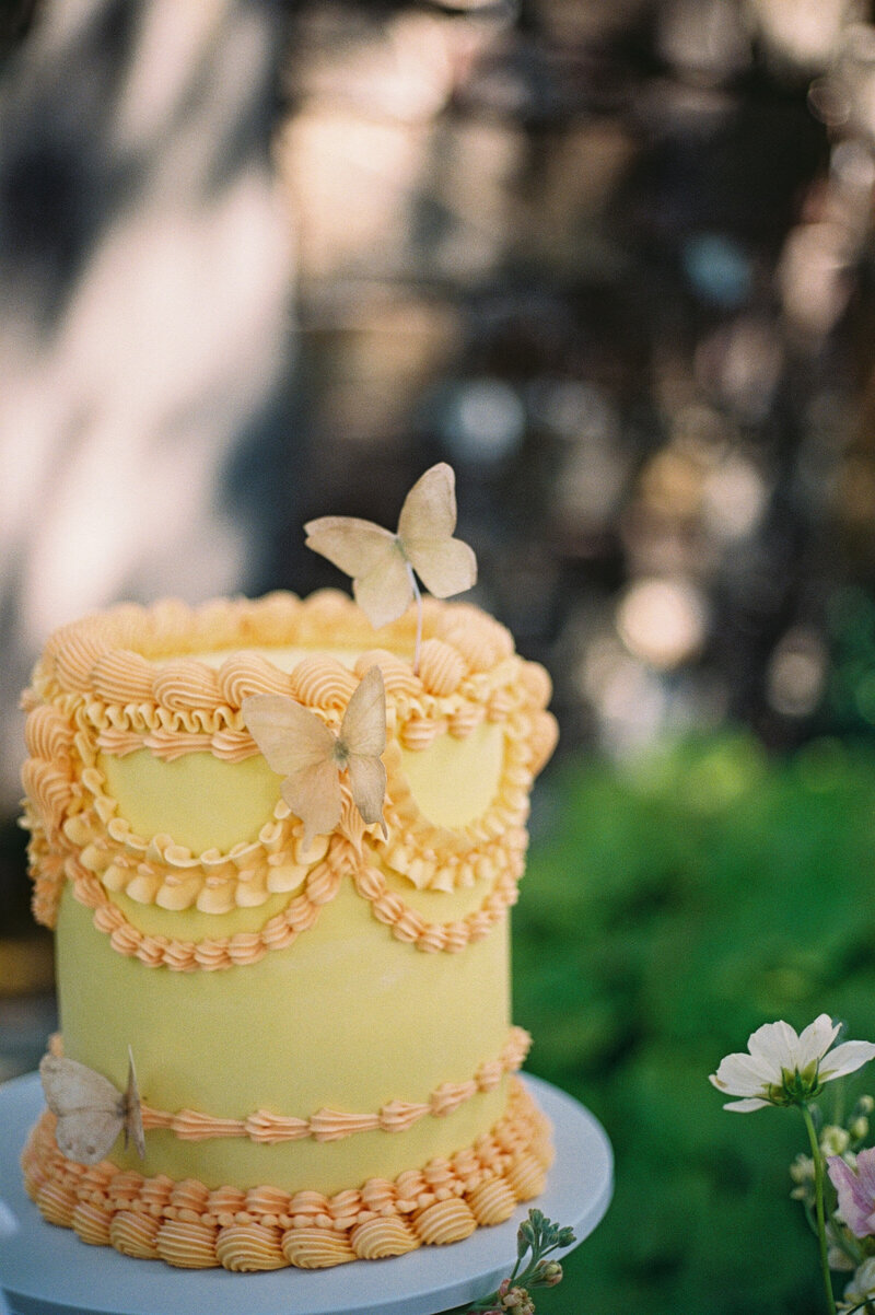 Luxury-Summer-Intimate-Wedding-Strong-Mansion-Frederick-County-Maryland-35mm-Film=11