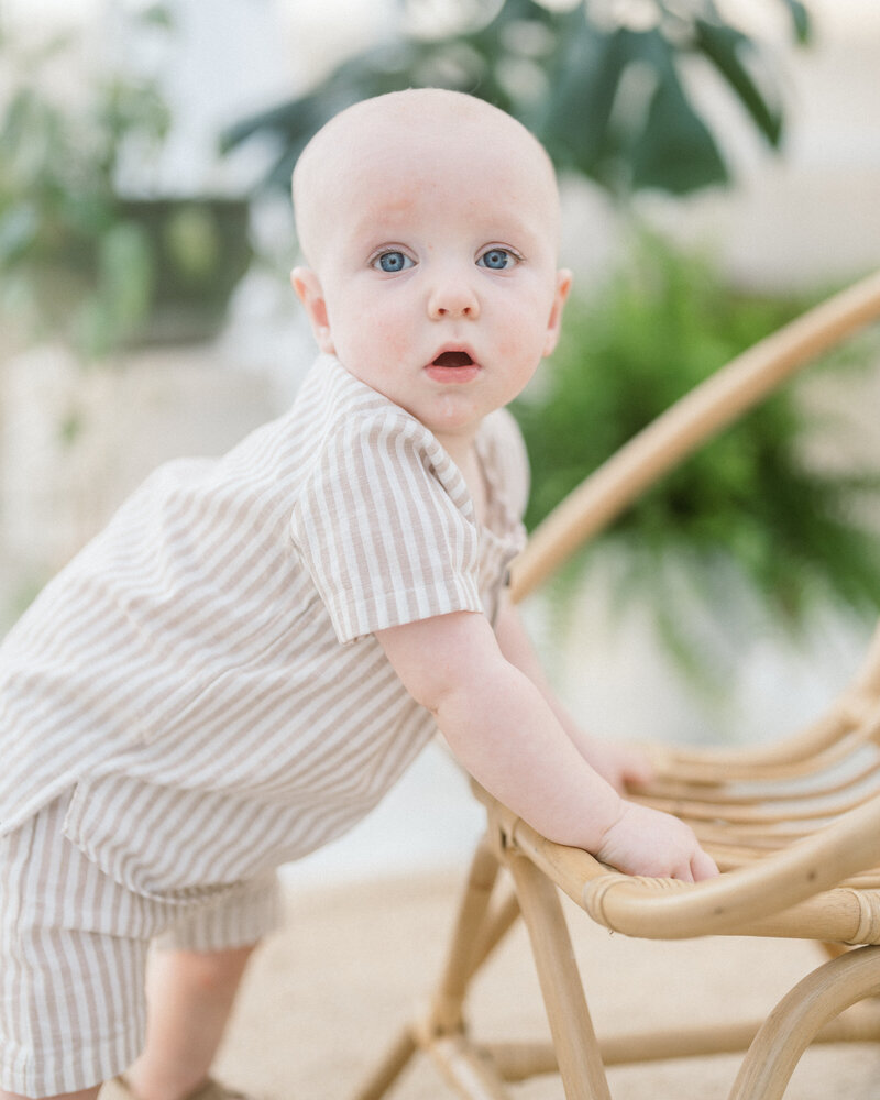 Ollie12mo-11
