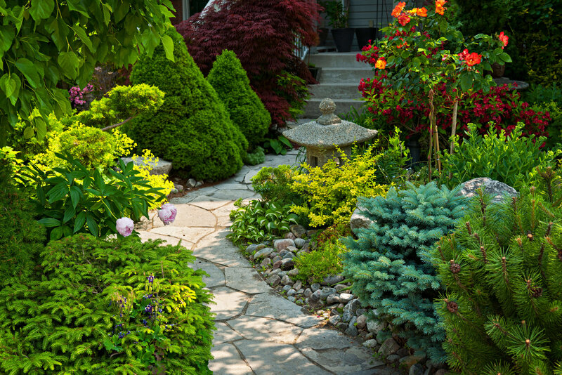 David working one-on-one with a client, collaborating on plant and material selections, offering a hands-on approach to creating the perfect outdoor space.