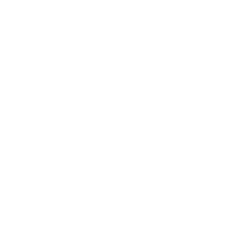 Asset 80