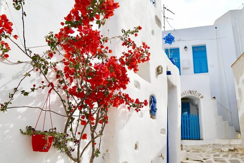 Lush Mediterranean gardens creating an idyllic training environment.