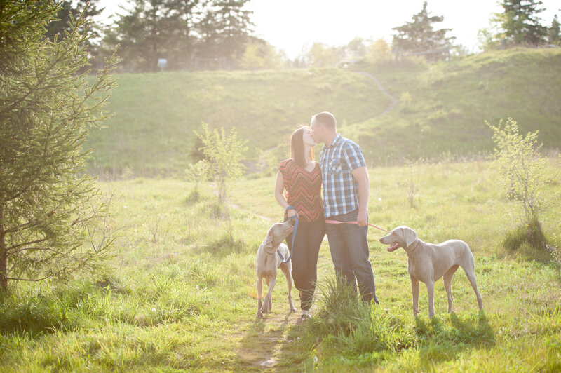 Engagement photos with Chelsey, Matt and the Weimaraners