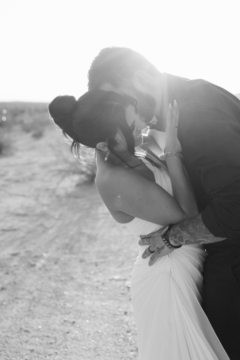 Lindsey + Anthony Joshua Tree Wedding-739