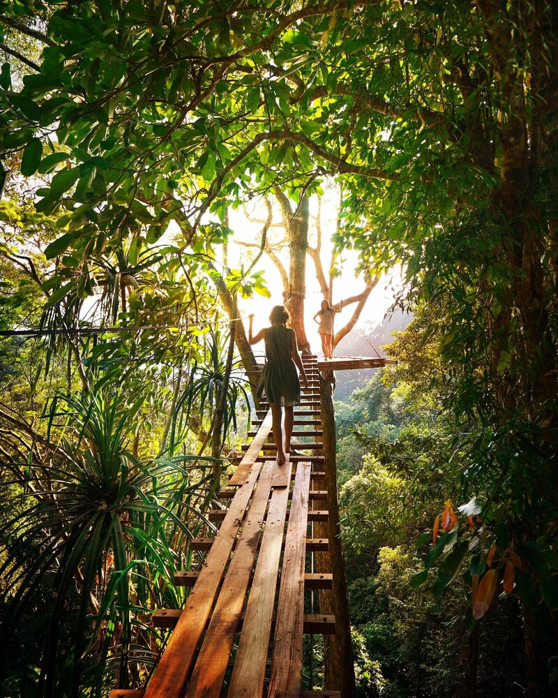Image of a femme presenting person crossing a wooden slate bridge in a tropical setting