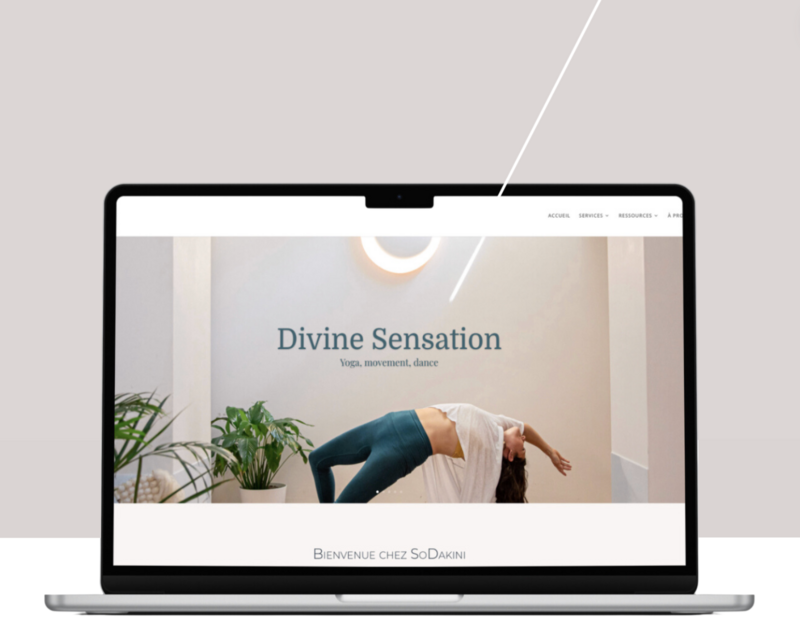 Sodakini Branding and web design