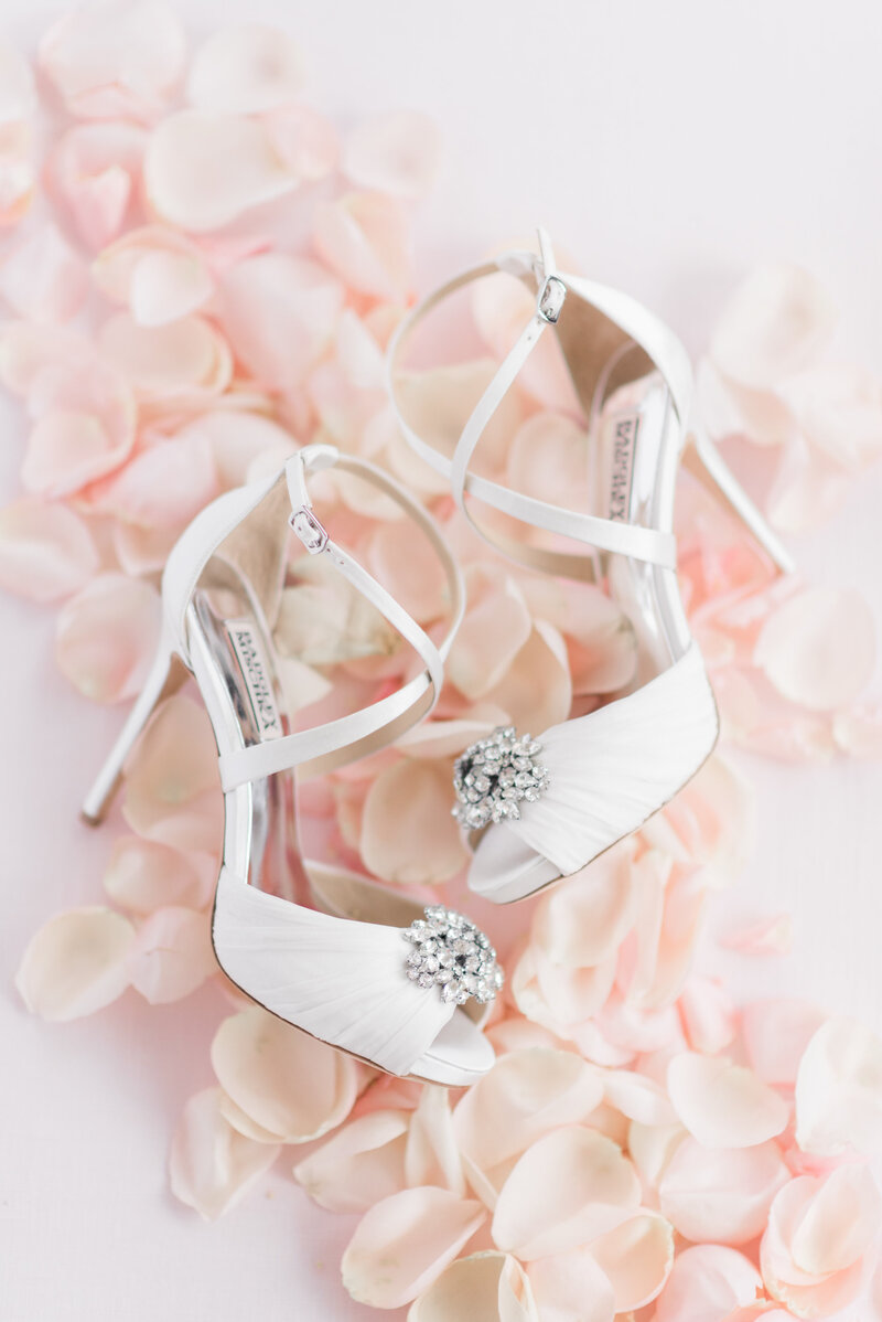 mackinac island wedding photorgrapher
