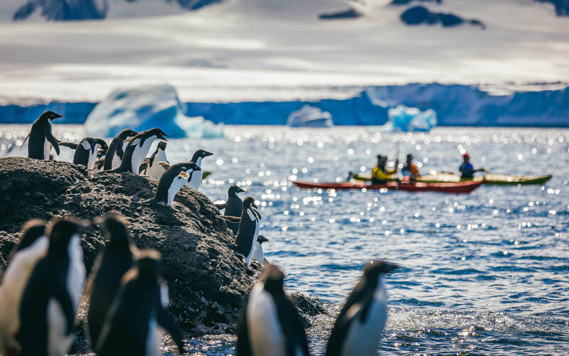 A group of penguins stands on a rocky outcrop near the water, while people in kayaks paddle in the background surrounded by icy blue glaciers.
