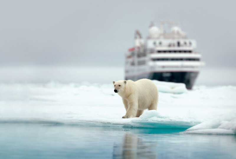 A polar walks through ice, while a fishing boat with tourists observing is nearby in the background.