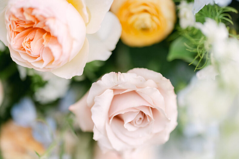 This striking close-up captures the intricate details of the floral arrangements at a wedding ceremony location. The vibrant colors and delicate textures of the flowers add a touch of elegance and beauty to the special day