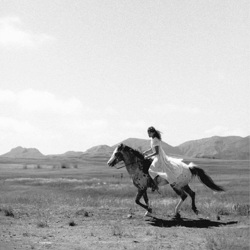 horse-mini