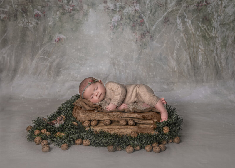 "Newborn baby sleeping on a log surrounded by walnuts and evergreen pieces in a cozy winter-themed studio session in Ottawa"