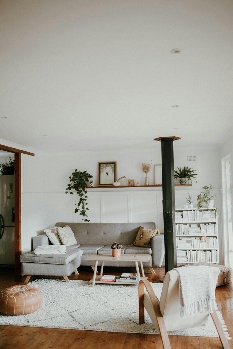 marin house - living room