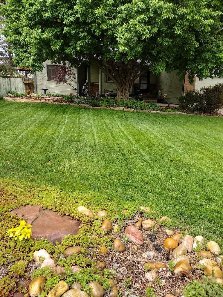 Rocky Mountain Lawn and Landscaping in Fort Collins