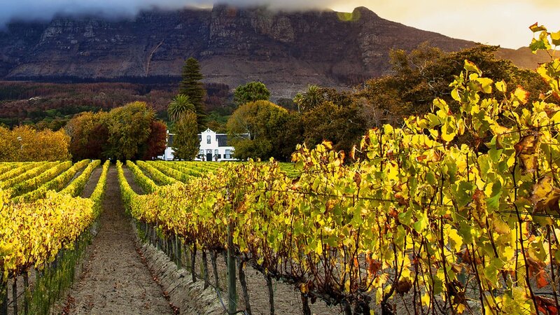 cape-winelands-south-africa-cape-dutch-famrhouse