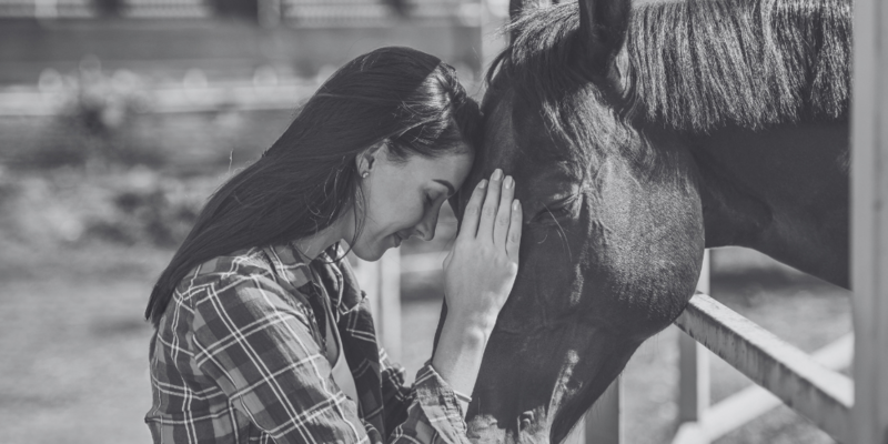 horse and woman connecting and healing