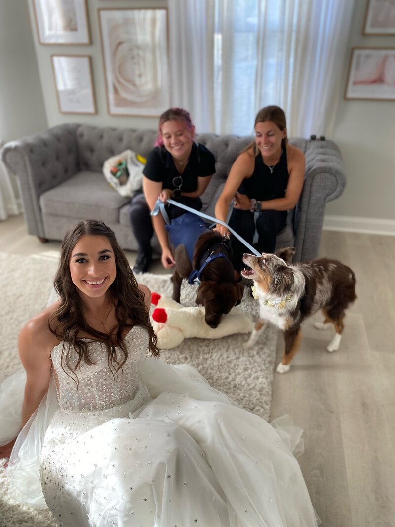 Pawfect for You Pet Care during wedding New York Massachusetts Connecticut New Jersey Pennsylvania Maryland Virginia 45