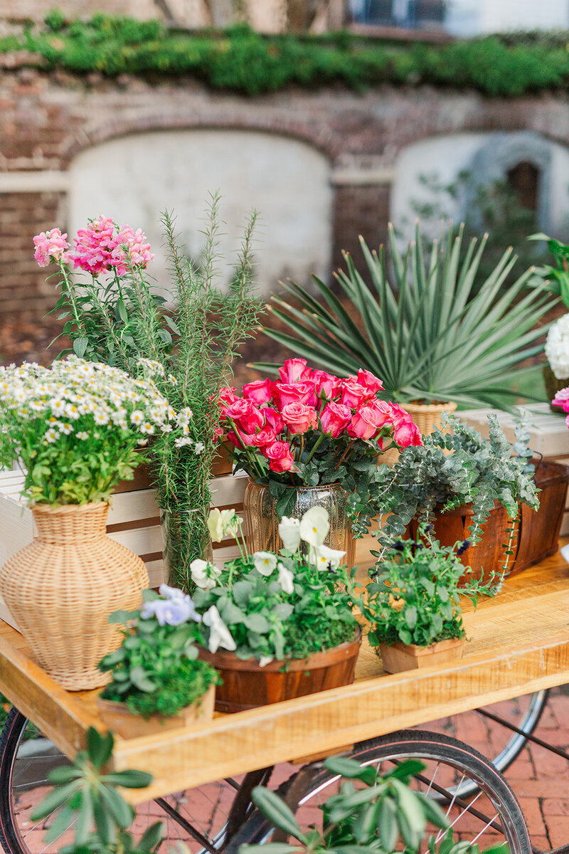Charleston Proposal Photographer | Laura and Rachel Photography