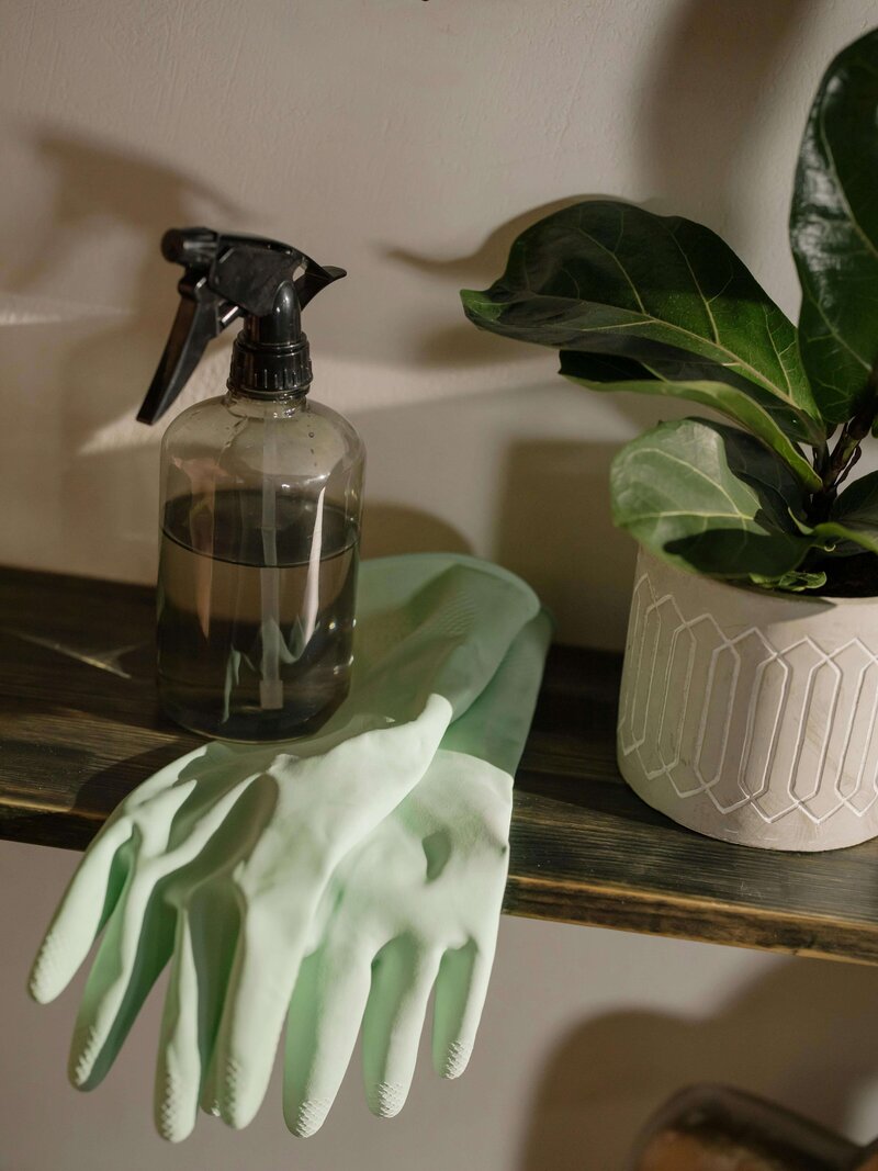 home cleaning products including spray bottle and gloves