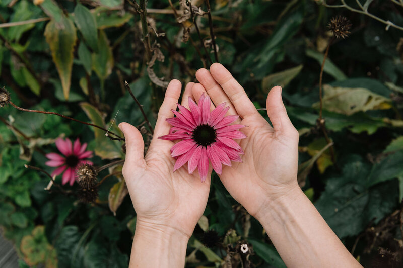 A woman's hands gently holding a pink flower, symbolizing care, beauty, and the nurturing process of wellness and personal growth.