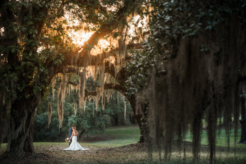 spanish moss hangs from live oaks to create a sense of depth in the couples portrait during this wedding in charleston