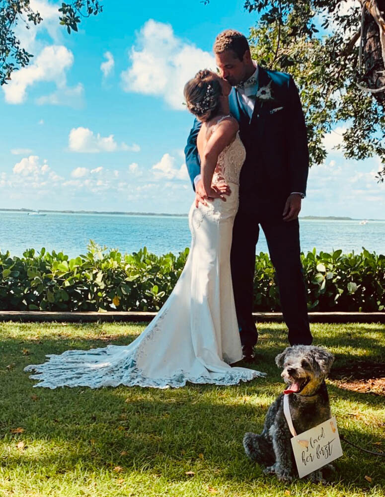 bride and groom kissing with small grey dog in front of them with a sign that says 'i kissed her first'