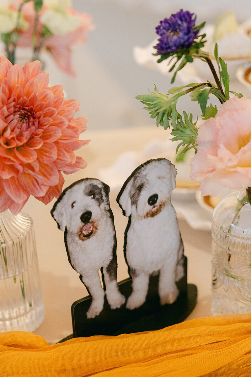 Jackie + Josh_ Berry Wedding at Hui No_eau Visual Arts Center in Makawao_ Hawaii by Masha Sakhno Photo-528