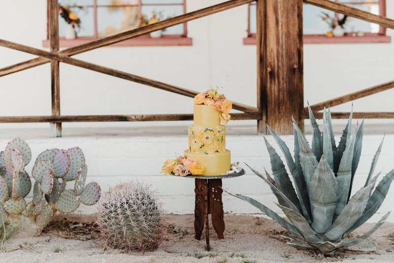 joshuatreeeditorial-24