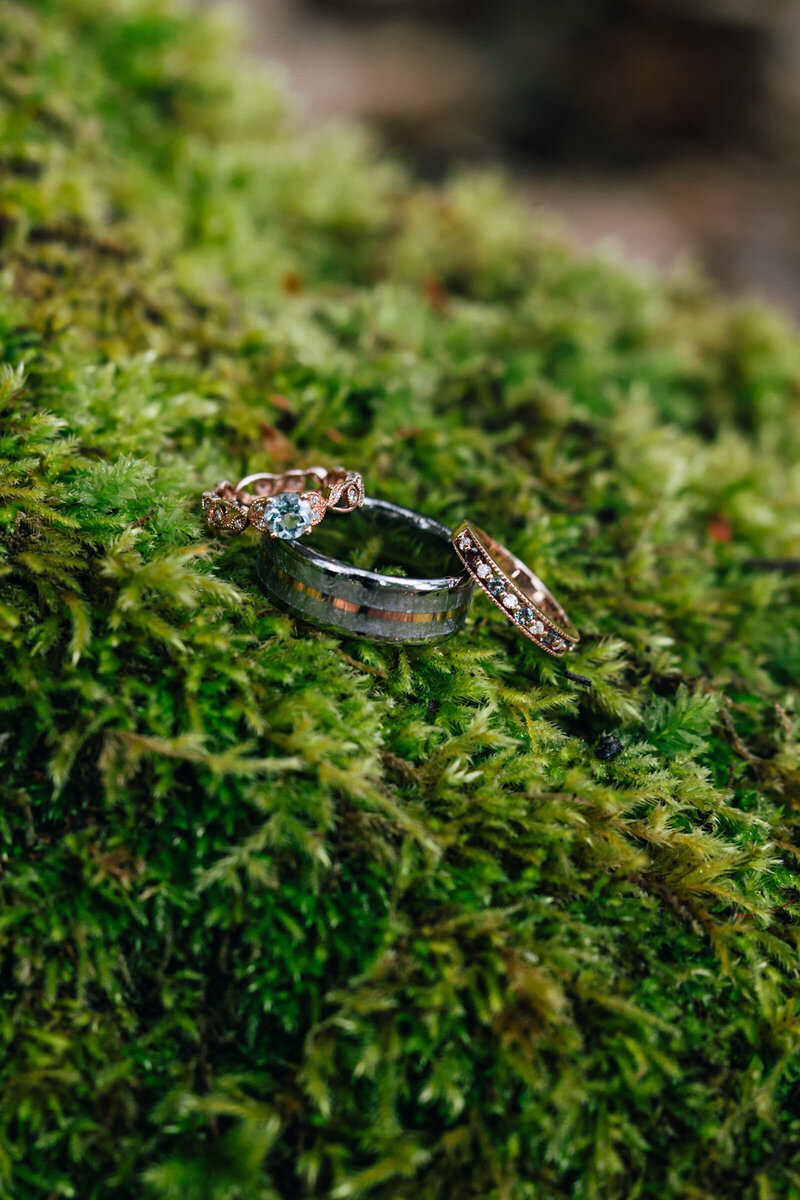 Olympic-National-Park-Washington-Elopement-2