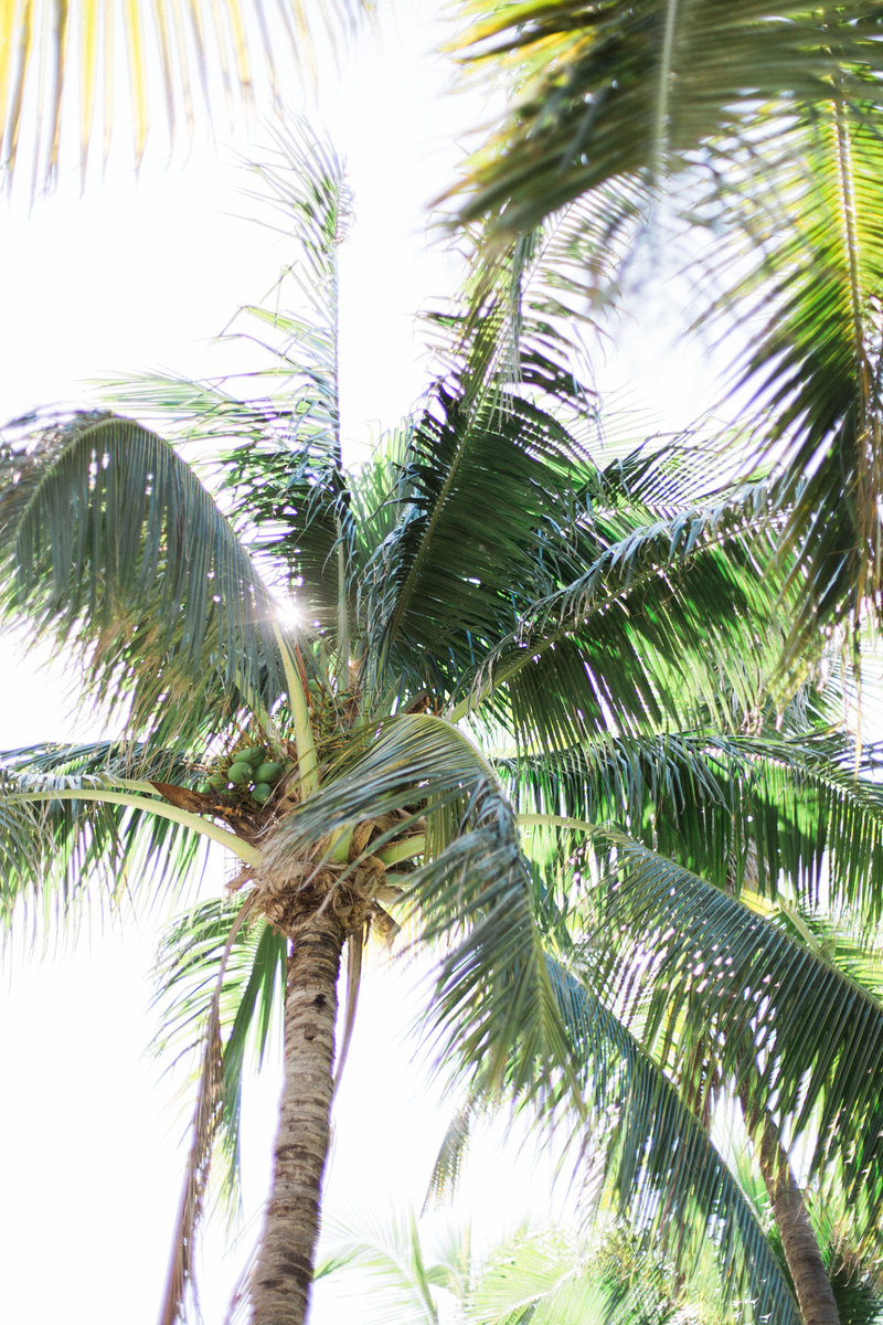 Elizabeth McCravy Showit Brand and Website Designer - Beach Vacay2