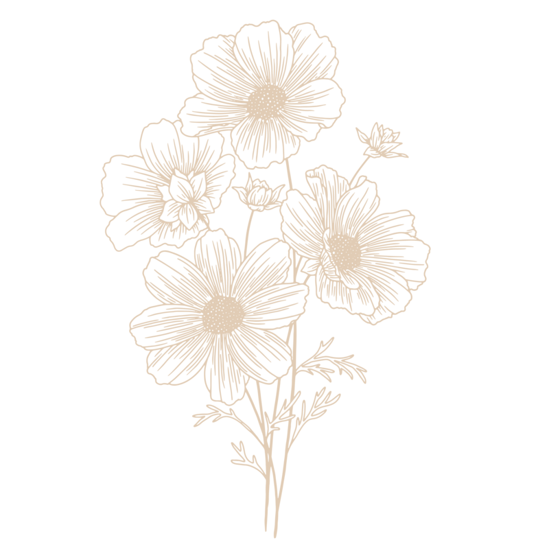 Graphic Art, a line drawing of a bundle of flowers