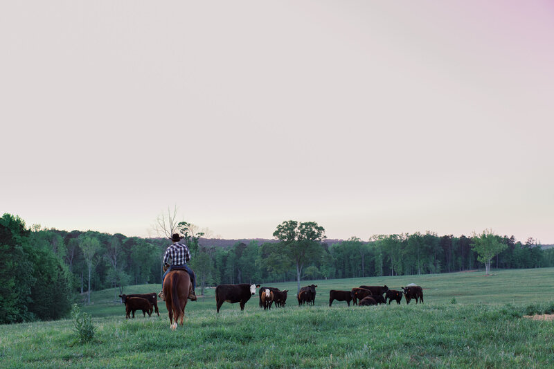 Happy girl on horseback in an open Georgia pasture