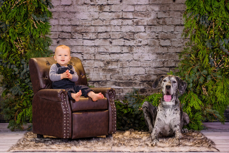 Little boy and great dane on holiday photo set
