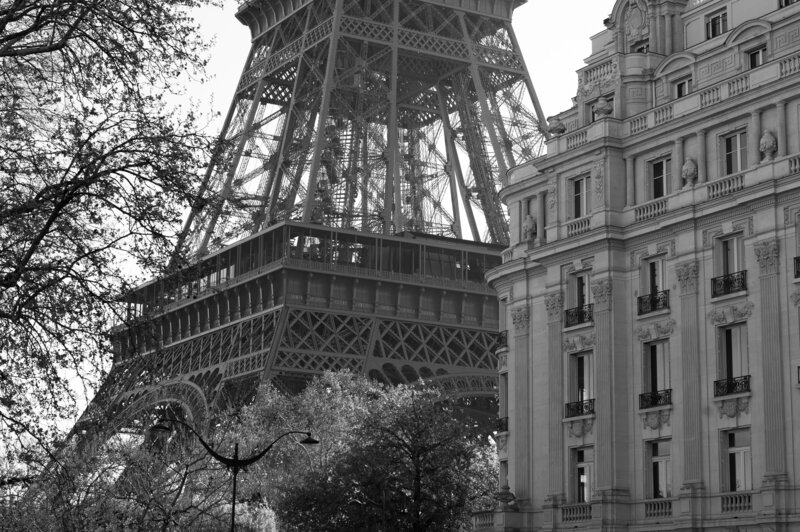 Fleur Bours photography Paris 00058