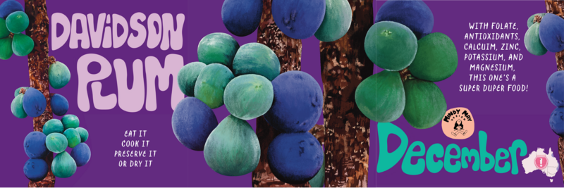 Aussie-bush-tucker-calendar-202512